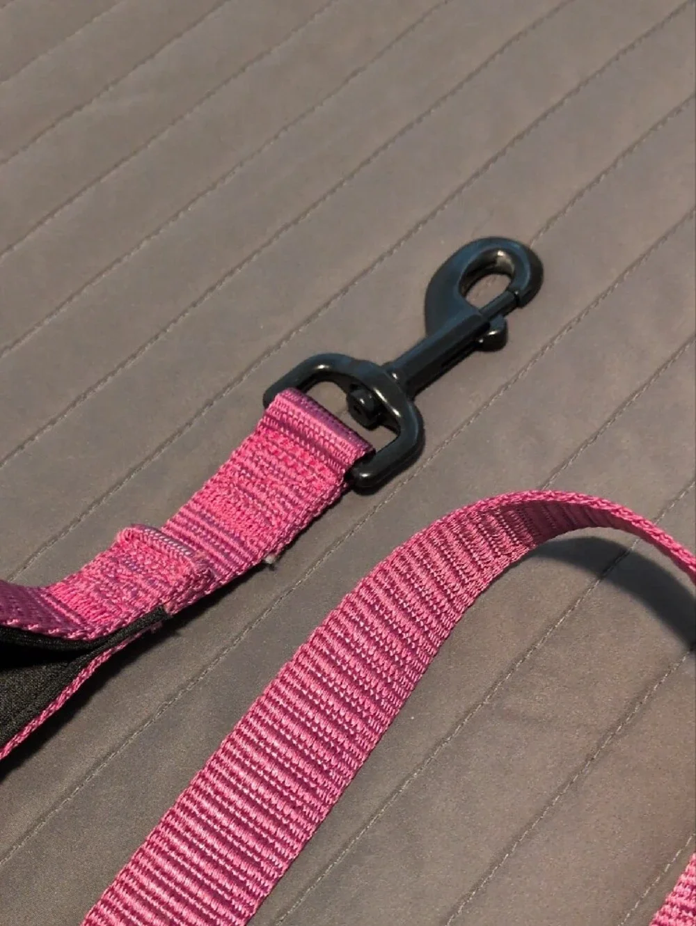 KONG Hot Pink Nylon Dog Traffic Leash